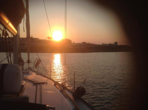 University Area Msida